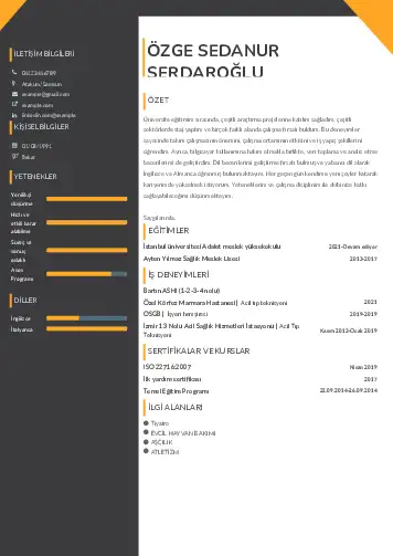 Acil Tıp Teknisyeni CV Örnekleri cv indir